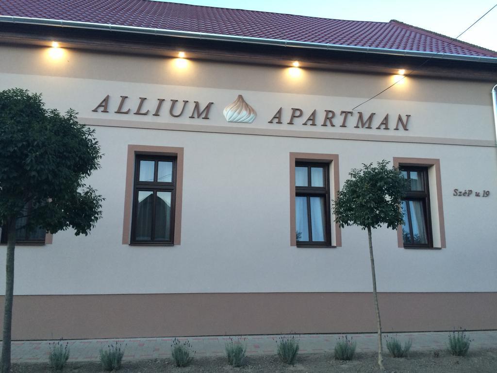 Allium Apartment Makó Exteriér fotografie